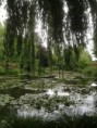 /album/giverny/img-0117-jpg/
